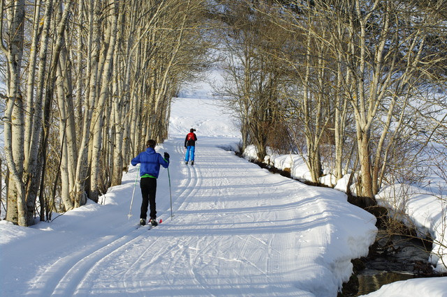 Ski Nordique/Skating