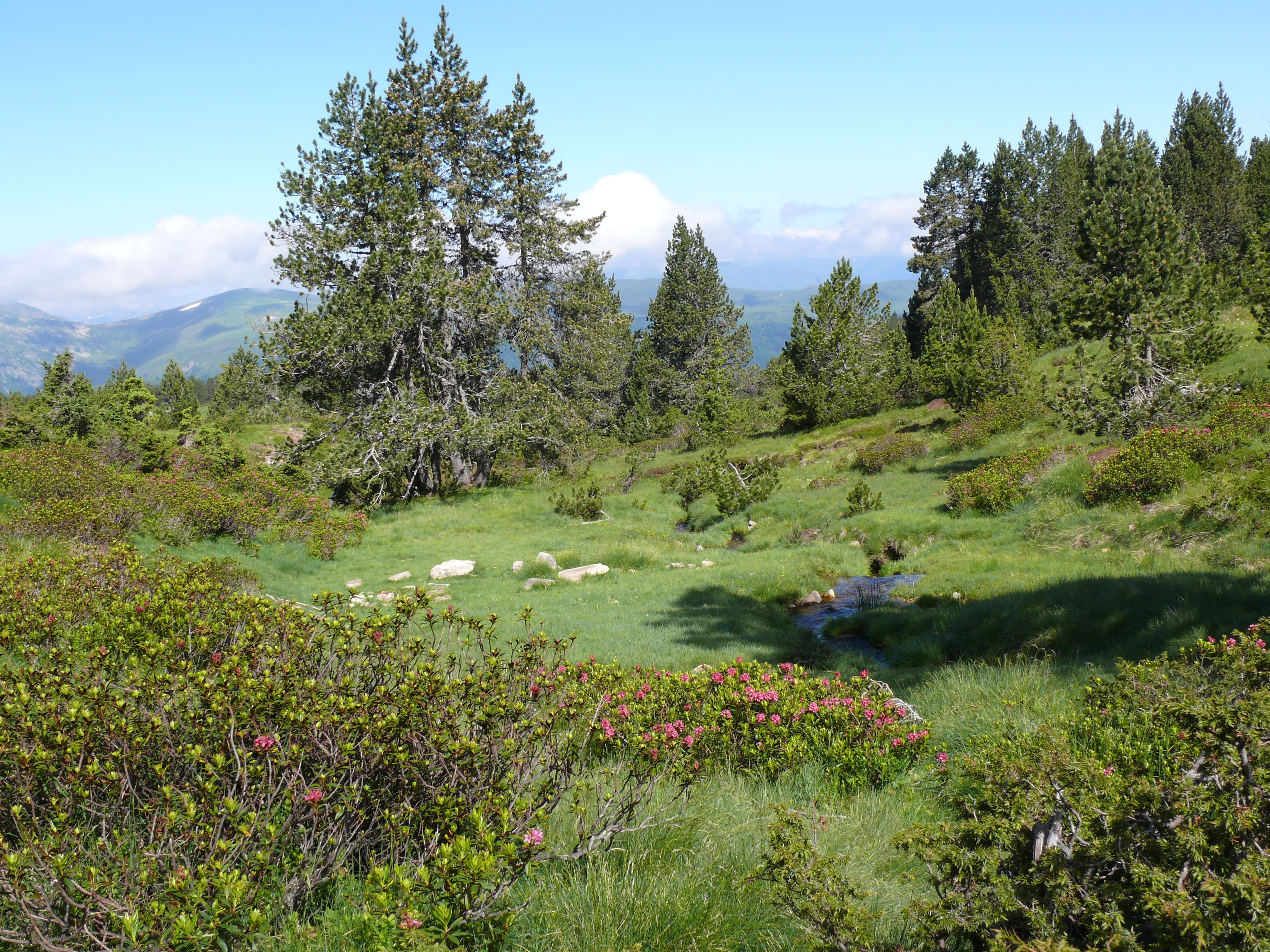 ete beille - © ete beille