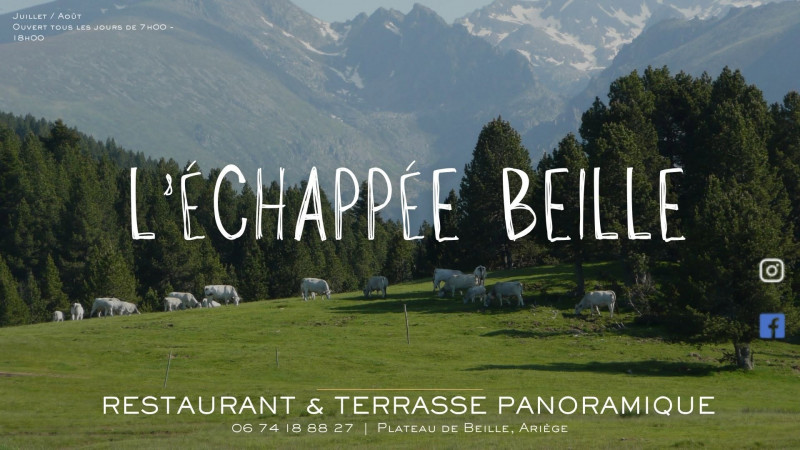 l-chapp-e-beille2-9193 - © l'échappée beille l-chapp-e-beille2-9193